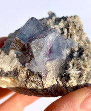 Load image into Gallery viewer, Fluorite on Matrix - Dragon Mama Crystals 
