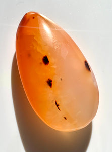 Carnelian PalmStone - Dragon Mama Crystals 