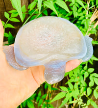 Load image into Gallery viewer, Druzy Agate Crystal Turtle - Dragon Mama Crystals 