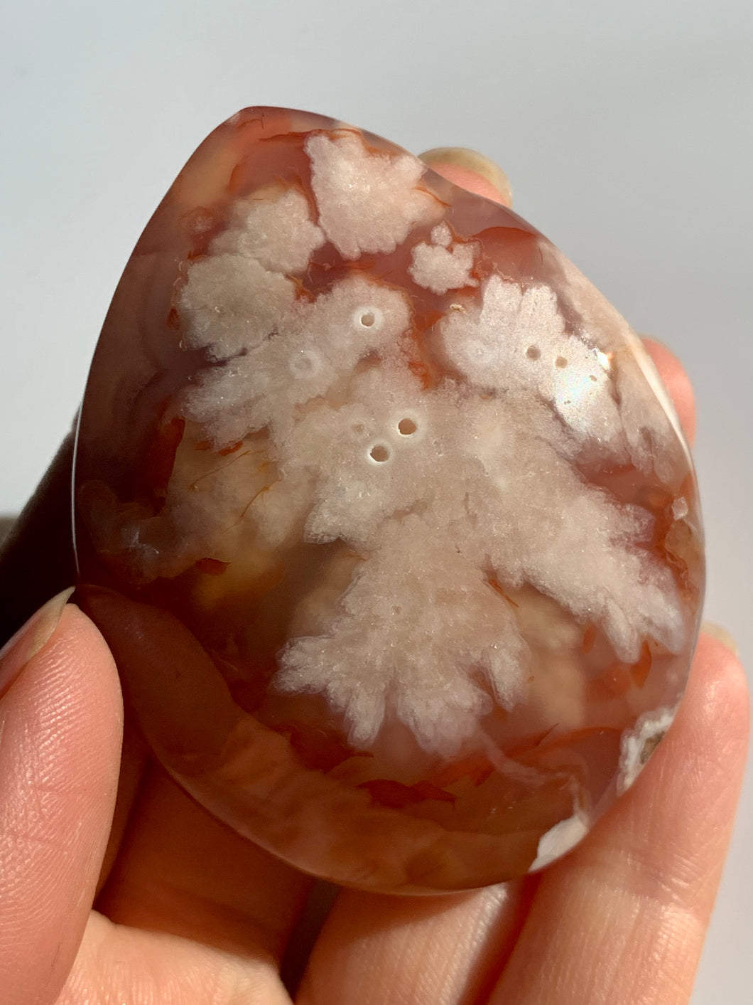 Carnelian Flower Agate PalmStone - Dragon Mama Crystals 