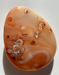 Carnelian PalmStone - Dragon Mama Crystals 
