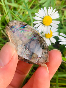 Lodolite Lens 07 - Dragon Mama Crystals 