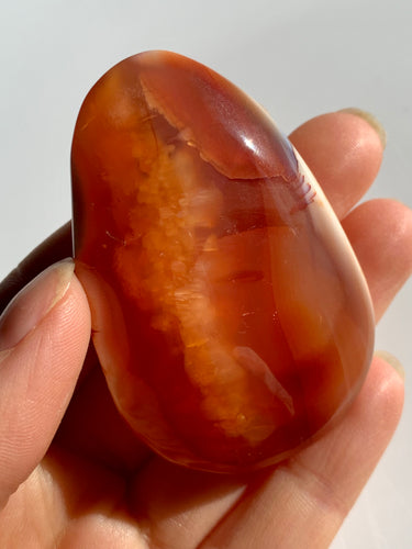 Carnelian PalmStone - Dragon Mama Crystals 