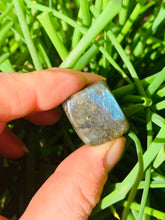 Load image into Gallery viewer, Labradorite Tumble Stones - Dragon Mama Crystals 