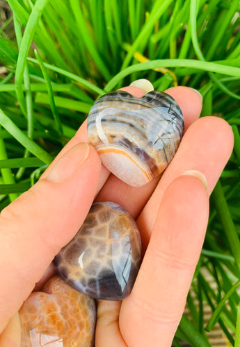 Snakeskin Banded Agate - Dragon Mama Crystals 