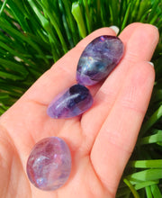 Load image into Gallery viewer, Fluorite Tumbles - Dragon Mama Crystals 