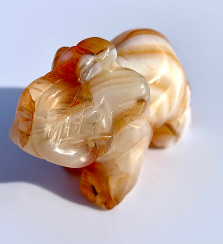 Carnelian Elephant - Dragon Mama Crystals 