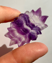 Load image into Gallery viewer, Fluorite paw mini - Dragon Mama Crystals 