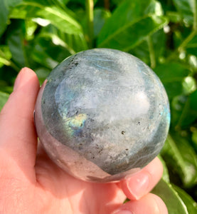 Labradorite Blue Flash High Grade - Planet earth - Orange, Blue, Yellow. 2 - Dragon Mama Crystals 