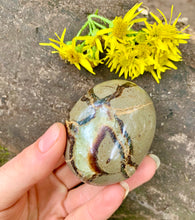 Load image into Gallery viewer, Septarian Crystal Palm Stones - Dragon Mama Crystals 