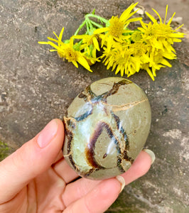 Septarian Crystal Palm Stones - Dragon Mama Crystals 