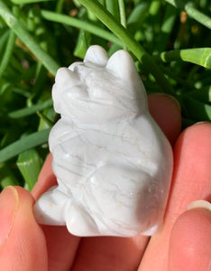 Howlite Cat - Dragon Mama Crystals 