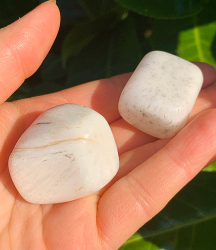 Scolecite Tumble Stones - Dragon Mama Crystals 