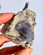 Load image into Gallery viewer, Fluorite on Matrix - Dragon Mama Crystals 