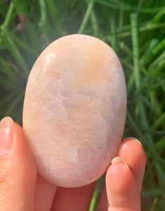 Morganite Peach Rare Palm Stone - Dragon Mama Crystals 