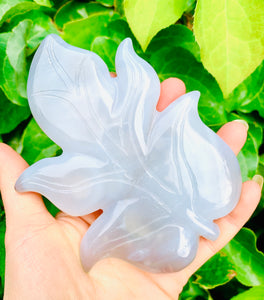Agate Crystal Leaf 1 - Dragon Mama Crystals 