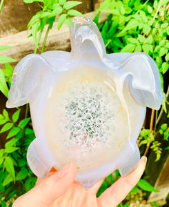 Druzy Agate Crystal Turtle - Dragon Mama Crystals 