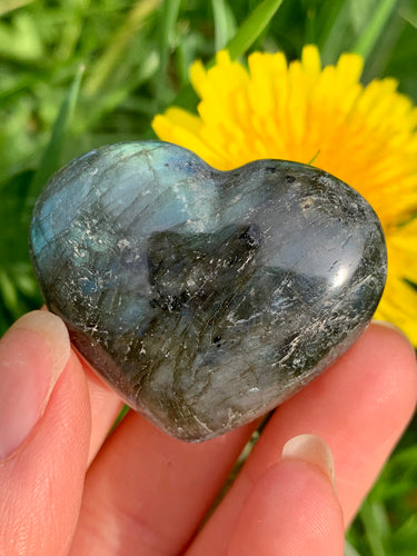 Labradorite Heart 02 - Dragon Mama Crystals 