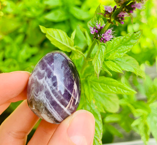 Amethyst Egg - Dragon Mama Crystals 