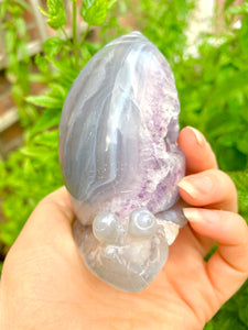 Crystal Agate Amethyst Snail - Dragon Mama Crystals 