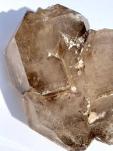 Load image into Gallery viewer, Smokey Quartz Elestial - Dragon Mama Crystals 