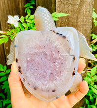 Load image into Gallery viewer, Crystal Agate Druzy Turtle Amethyst - Dragon Mama Crystals 