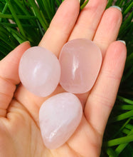 Load image into Gallery viewer, Rose Quartz Tumbles - Dragon Mama Crystals 