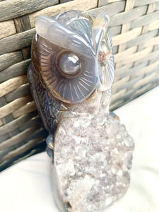 Druzy Agate Crystal Wise Owl - Dragon Mama Crystals 