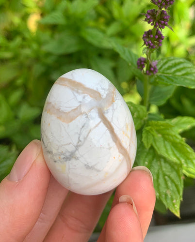 Howlite Eggs - Dragon Mama Crystals 