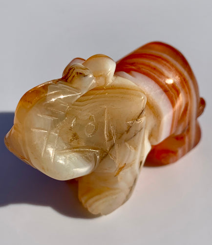 Carnelian Elephant - Dragon Mama Crystals 