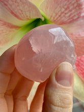 Load image into Gallery viewer, Star Rose Quartz Skull - Dragon Mama Crystals 