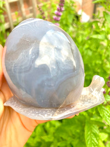 Crystal Agate Amethyst Snail - Dragon Mama Crystals 