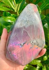 Rare Purple Labradorite Freeform - Dragon Mama Crystals 