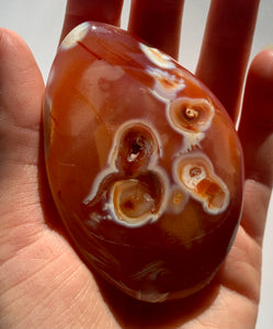 Carnelian PalmStone - Dragon Mama Crystals 