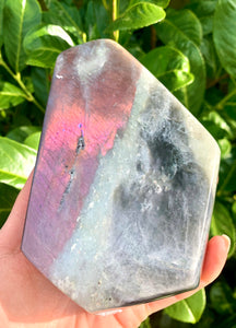 Rare Purple Labradorite Freeform High Grade - Dragon Mama Crystals 