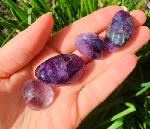 Fluorite Tumbles - Dragon Mama Crystals 