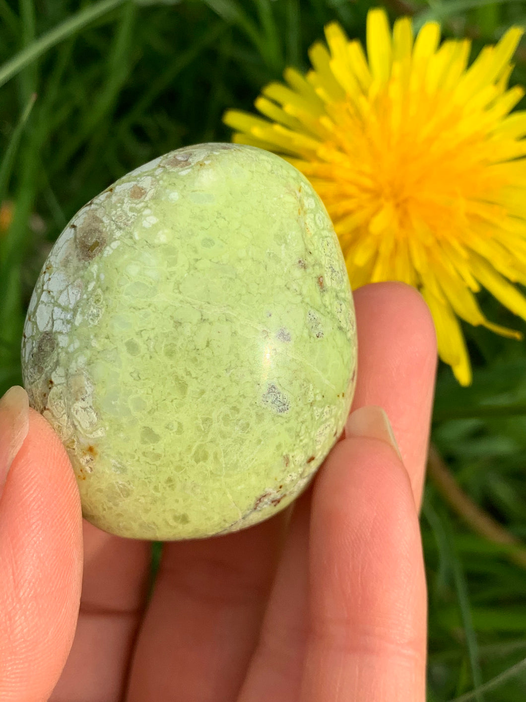 Green Opal PalmStone - Dragon Mama Crystals 