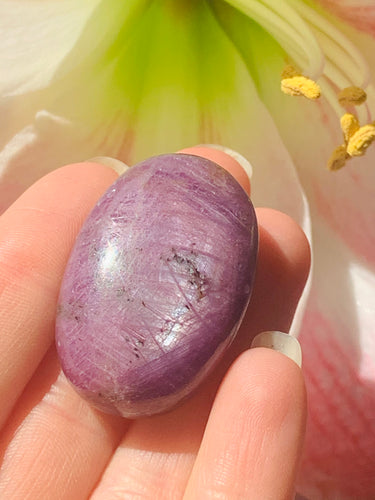 A Grade Star Ruby Palm-stones - Dragon Mama Crystals 