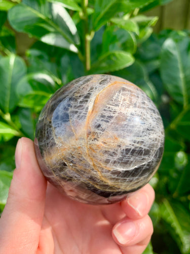 Black Moonstone Sphere A grade - Dragon Mama Crystals 