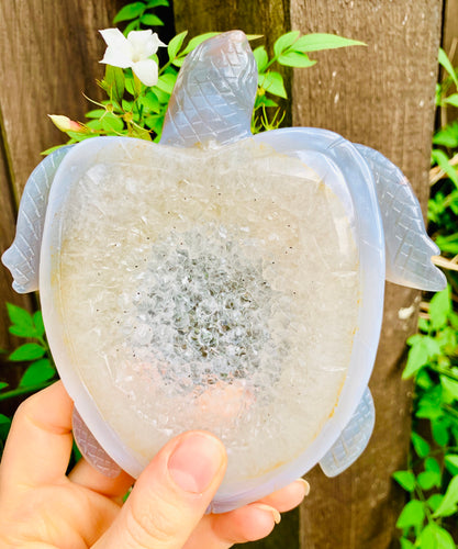 Druzy Agate Crystal Turtle - Dragon Mama Crystals 