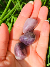Load image into Gallery viewer, Lepidolite Tumble Stones - Dragon Mama Crystals 