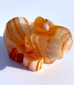 Carnelian Elephant - Dragon Mama Crystals 