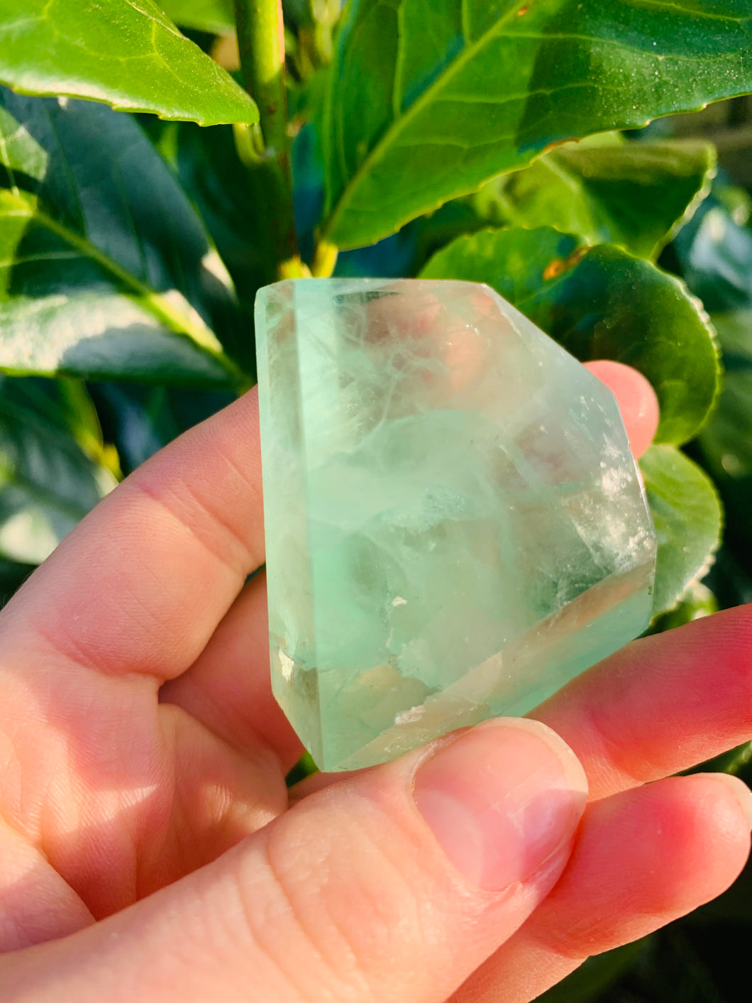 Fluorite Faceted - Dragon Mama Crystals 
