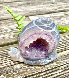 Crystal Agate Amethyst Snail - Dragon Mama Crystals 