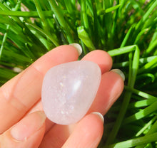 Load image into Gallery viewer, Rose Quartz Tumbles - Dragon Mama Crystals 
