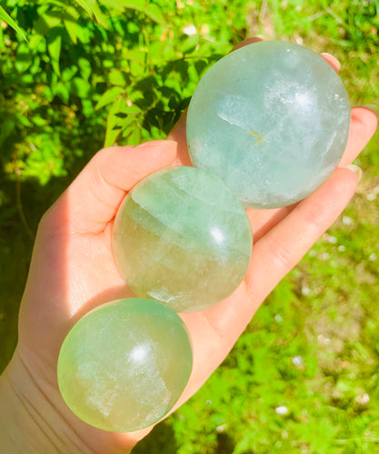Green fluorite Palmstones - Dragon Mama Crystals 