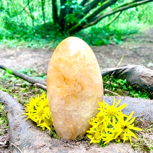 Golden Healer Crystal FreeForm - Dragon Mama Crystals 