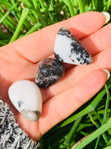 Zebra Jasper Tumble Stones - Dragon Mama Crystals 