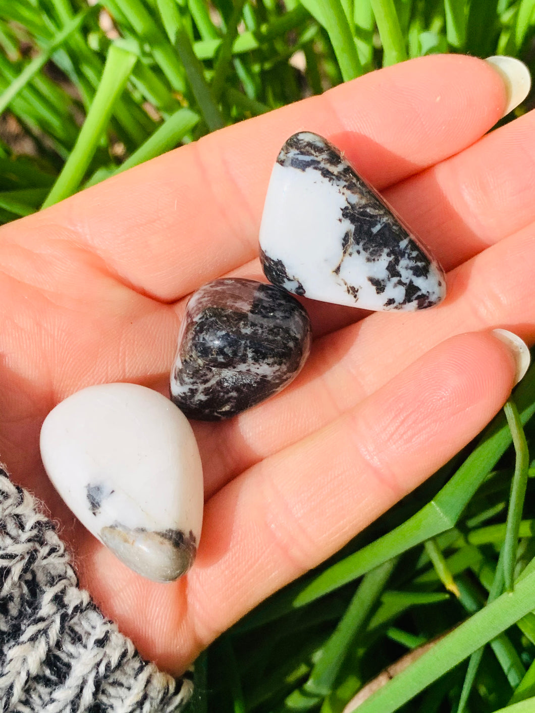Zebra Jasper Tumble Stones - Dragon Mama Crystals 