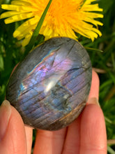 Load image into Gallery viewer, Labradorite Rare Purple Flash PalmStone - Dragon Mama Crystals 